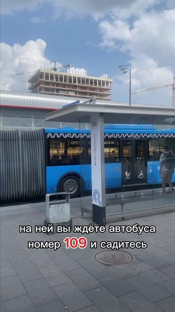 Как до нас добраться??? #whitesiberia #электротранспорт #электросамокат #рек #путь #тренд смотреть онлайн