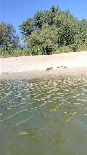 Отдыхаем в Раздорах.mp4