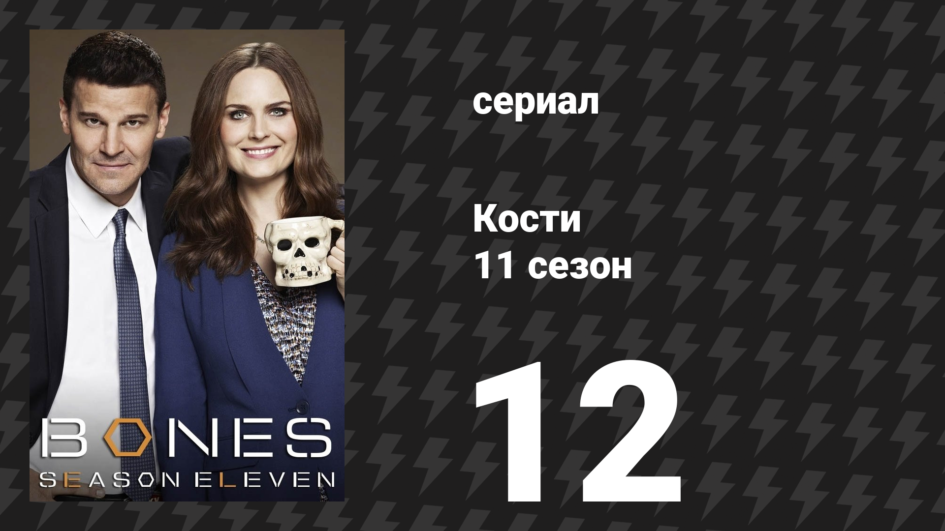 Кости 11 сезон 12 серия «Убийство в правозащитной организации» (сериал, 2015) смотреть онлайн