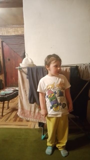 мы друзья перелетные птицы смотреть онлайн