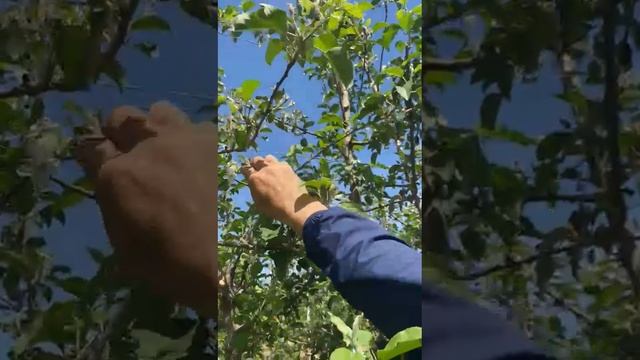 Измерения ПОЛОСА