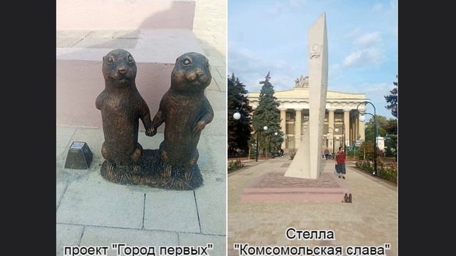Волжский глазами сусликов