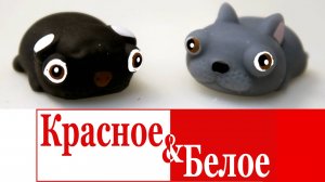 Новинки в КБ август! Тест товаров и сюрпризов