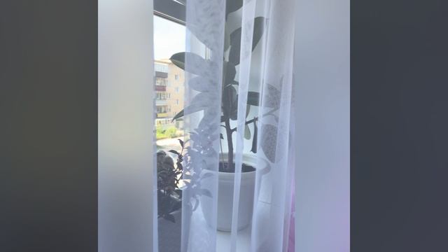 IMG_9222 смотреть онлайн