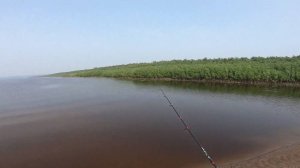 Рыбалка на реке. Бешеный клёв хищника. Часть первая.