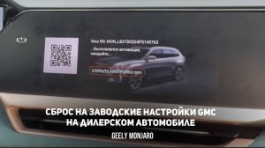 Как сделать сброс и настройку с 0  GMC прошивки на дилерском (ОД)  Джили Монжаро / Geely Monjaro