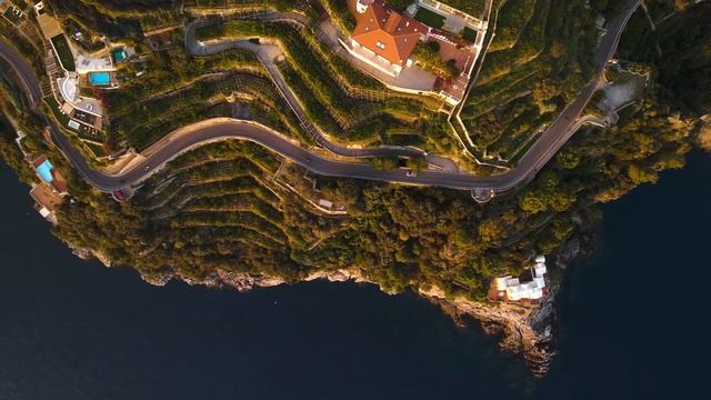 Мир дикой природы смотреть онлайн