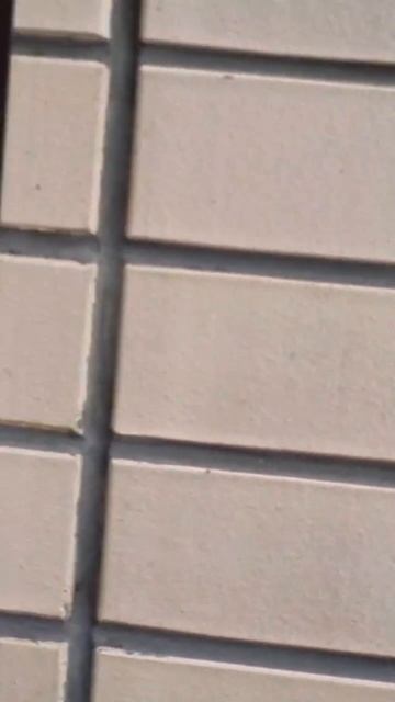 0728 (2)(3)
