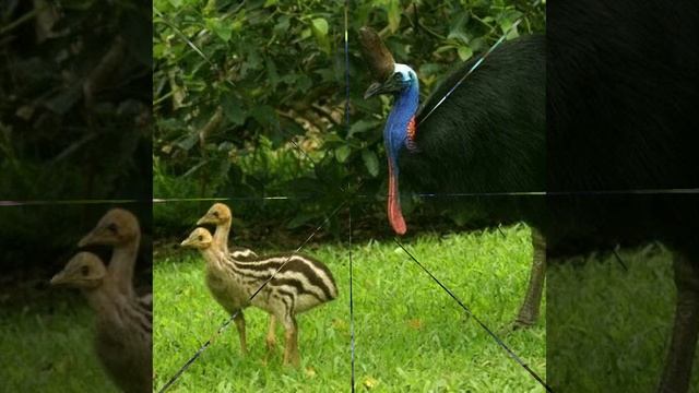 Это интересно-50