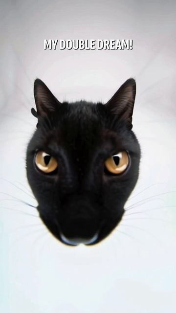 VIVITI / Вячеслав Тюрин