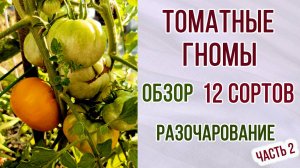 Гномы томатные. Обзор на 12 сортов. Урожайность.Соответствие описанию. Разочарование. Часть 2.