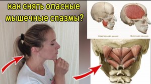 Атлантозатылочный сустав = основа жизни и здоровья мозга. Упражнения для сосудов шеи и головы