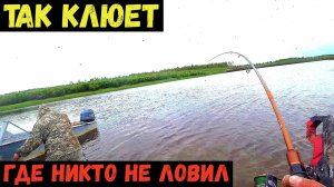 ТАК КЛЮЕТ ТОЛЬКО ТАМ ГДЕ НИКТО НЕ ЛОВИТ.