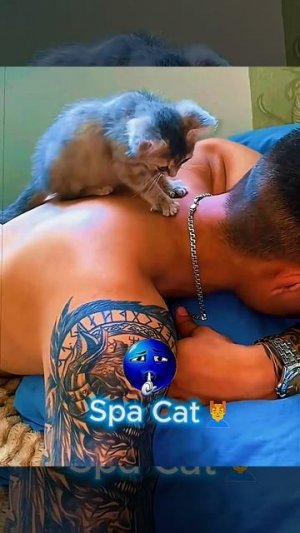 1 + Cats Are Useless...But These Cats? 💼🐾💪 #edit #trolledit #foryou #trending #cat #helpingcats