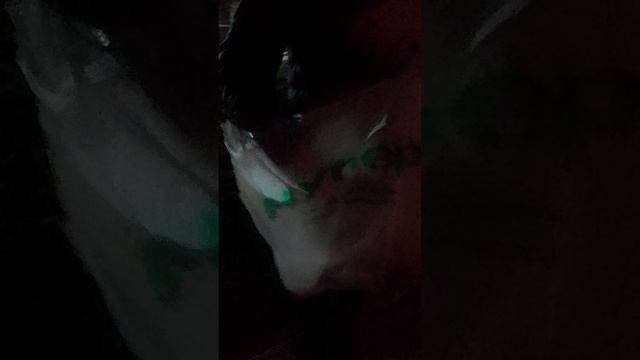 Вт как я праздную новый год