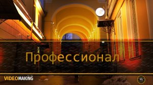 Профессионал