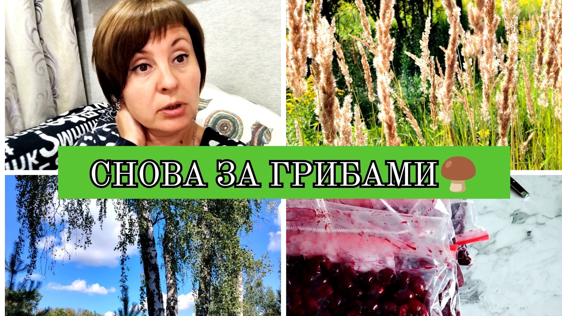 06-08-2025 БЕГОТНЯ С УТРА🏃ЗАПАСАЮСЬ ВОДОЙ💧ГУЛЯЕМ С МАМОЙ❤️СНОВА В ЛЕС🍄🟫ЗАМОРОЗКА ВИШНИ🍒 смотреть онлайн