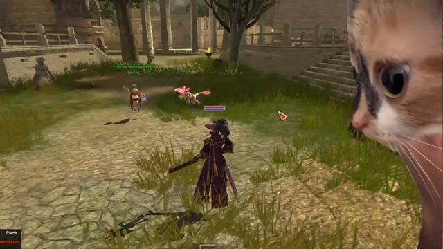 R2 RISE ВЫБЕЙ С МЕНЯ ШМОТ ПЖ — DMK RISE смотреть онлайн