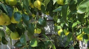 То дождь,то солнце