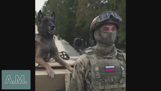 С_В_О *ветер гонит пыль* смотреть онлайн