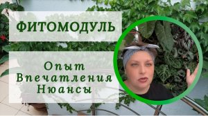 ФИТО МОДУЛЬ. Опыт, впечатления, нюансы.