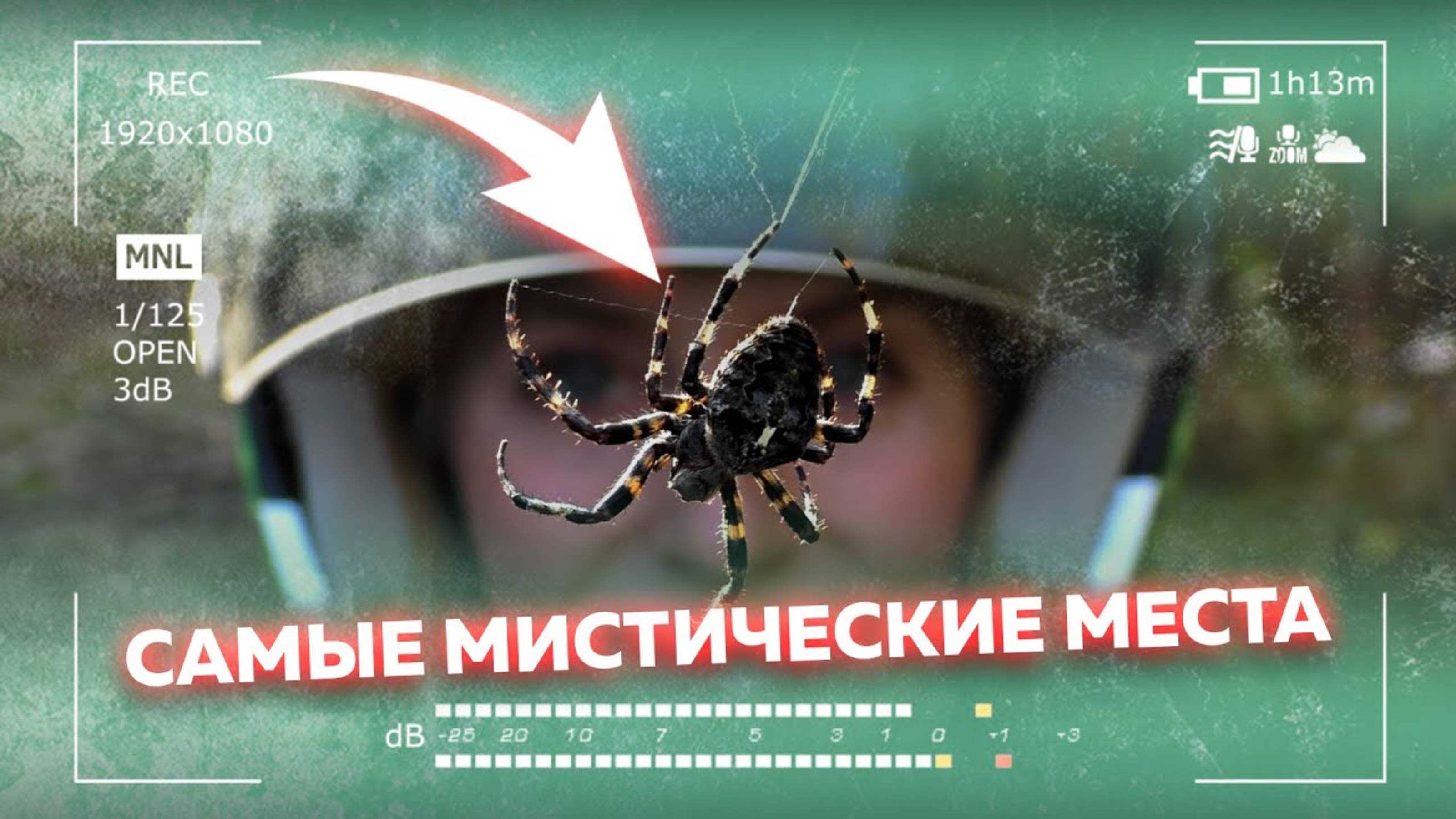 ЛЕС ХРАНИТ ТАЙНЫ: НАТКНУЛИСЬ НА ОСТАТКИ СТАРОЙ КАРЕТЫ! смотреть онлайн