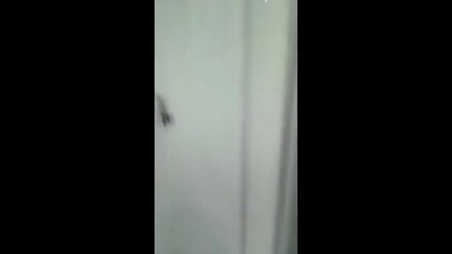 Душевая кабина с низким поддоном Aulica 5101