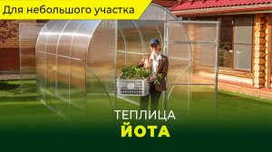 короткий обзор 2024