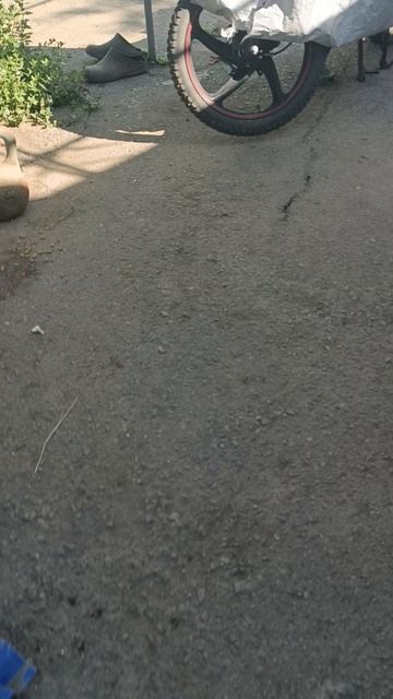 коты спят.mp4