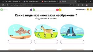 Карточка по окружающему миру ответы живая и неживая природа