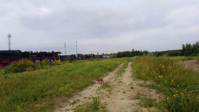Понедельник) Про поездку в Семенов смотреть онлайн