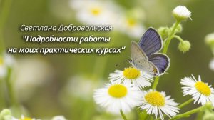 Подробности работы на моих практических курсах