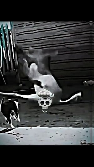 📹 Strongest Cats..☠️ | song: MENTE MÁ - Mc Staff, Nakama | → 👤 #Luna_edit →