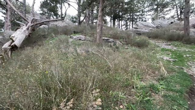 Солнечная тропа зимой. Крым, Ливадия, Солнечная тропа, гора Крестовая в январе 2025