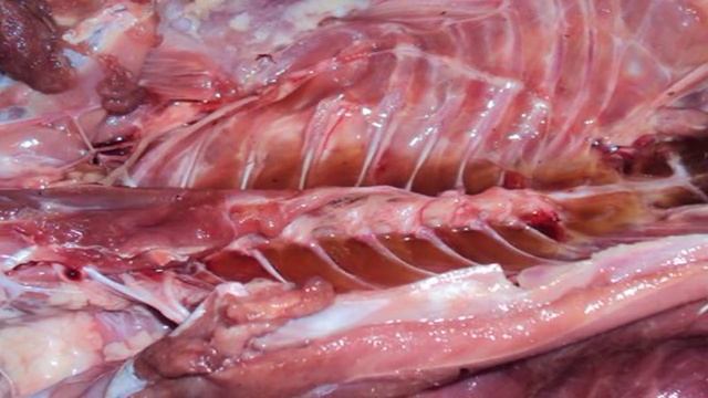 1000 и 1 рецепт