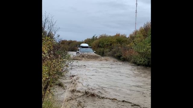 Рыбачий. Сентябрь 2024 смотреть онлайн