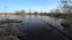 Не успел опустится поплавок на дно , как сразу потащило. Рыбалка в камышах