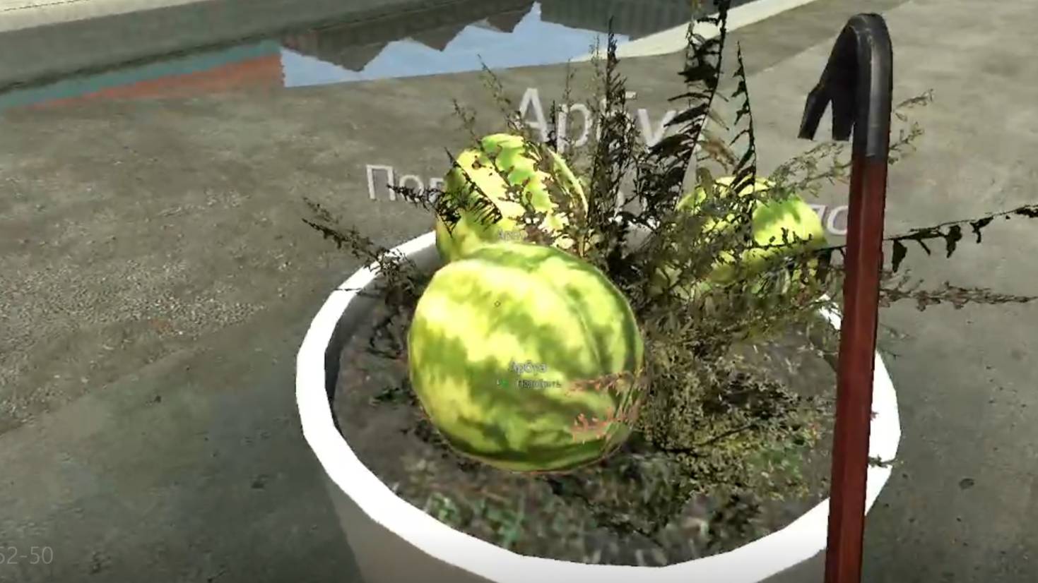 как вырастить арбузы в гарис мод