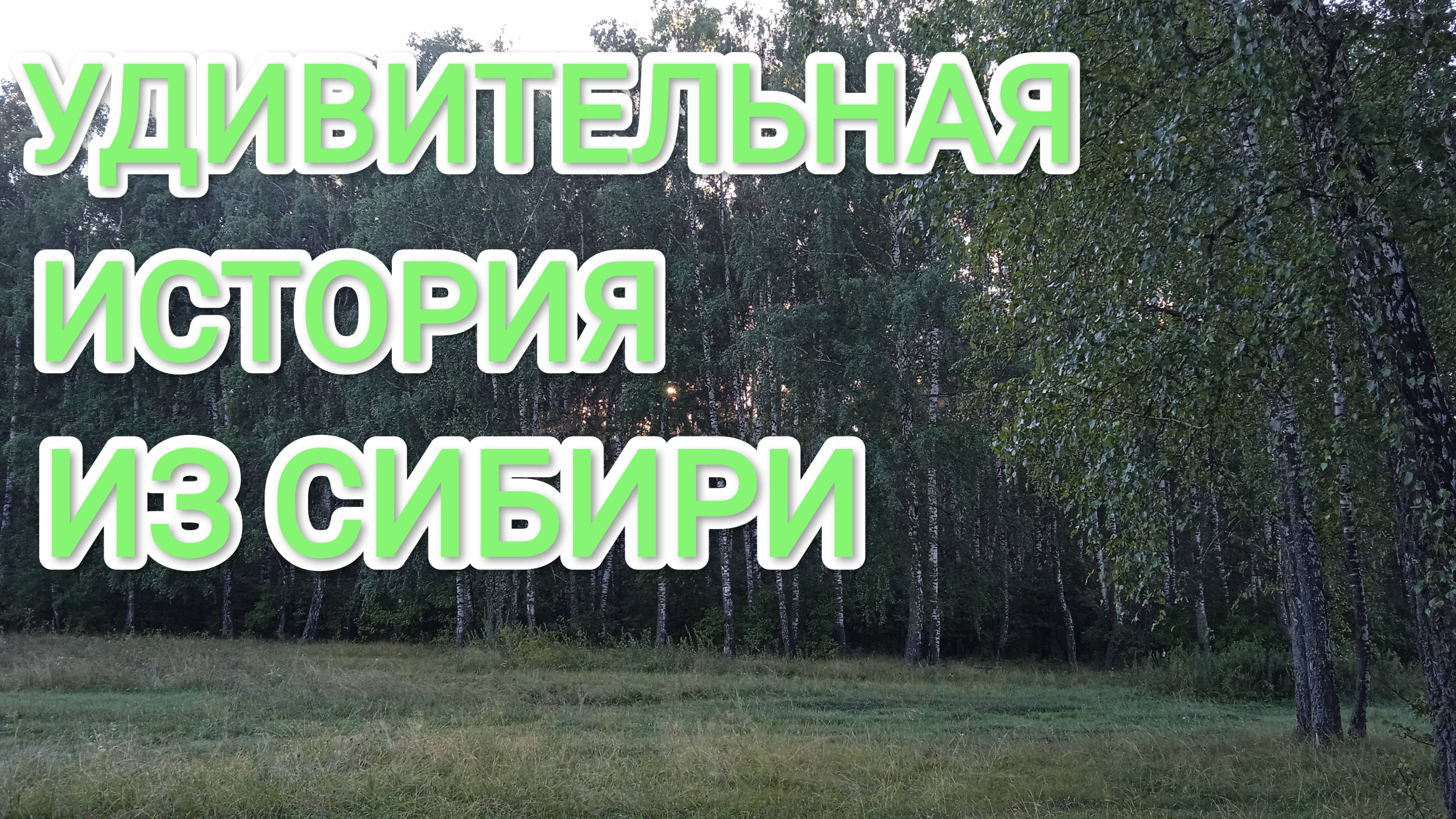 История которая произошла со мной на таежной речке чуть не стоила мне моей жизни