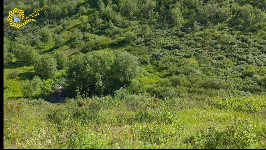 06-08-2025 смотреть онлайн