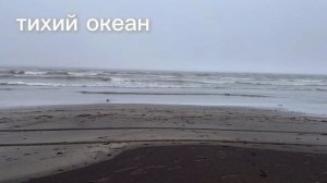Курилы