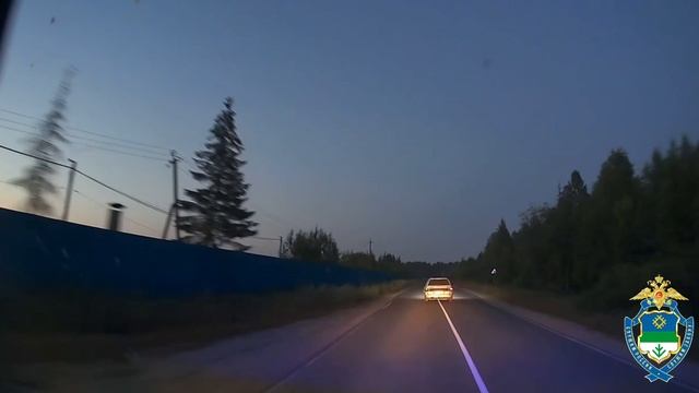 В Княжпогостском районе Госавтоинспекторы применили огнестрельное оружие для задержания нетрезвого смотреть онлайн