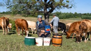 Домашний Крем-Сыр - Только Молоко И Терпение