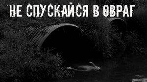 Не спускайся в овраг! Страшные истории на ночь. Страшилки на ночь. Жуткие истории. Ужасы.