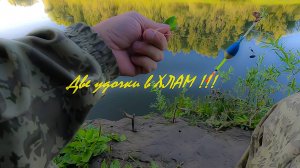 Щука сходит с ума ! Кушает червей. Рыбалка на мирную рыбку.