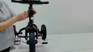 1000996087  Трехколесный велосипед Kreiss