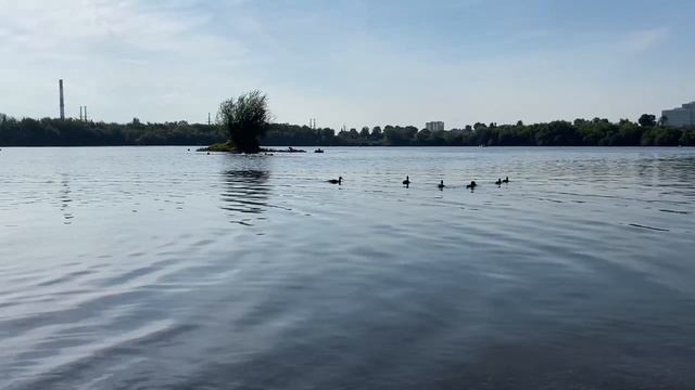 Я на острове смотреть онлайн