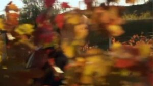 Осенняя любовь-ст.С.Новикова,маст.В.Малахова,монтаж В.Зубковой