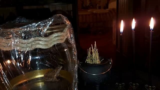 МЕСТЬ ЧЕРЕЗ ЖАБЬЮ МАТЕРЬ...очень сильно...для смелых