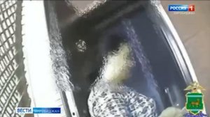 Жительницу ЕАО задержали спустя пять лет нахождения в федеральном розыске